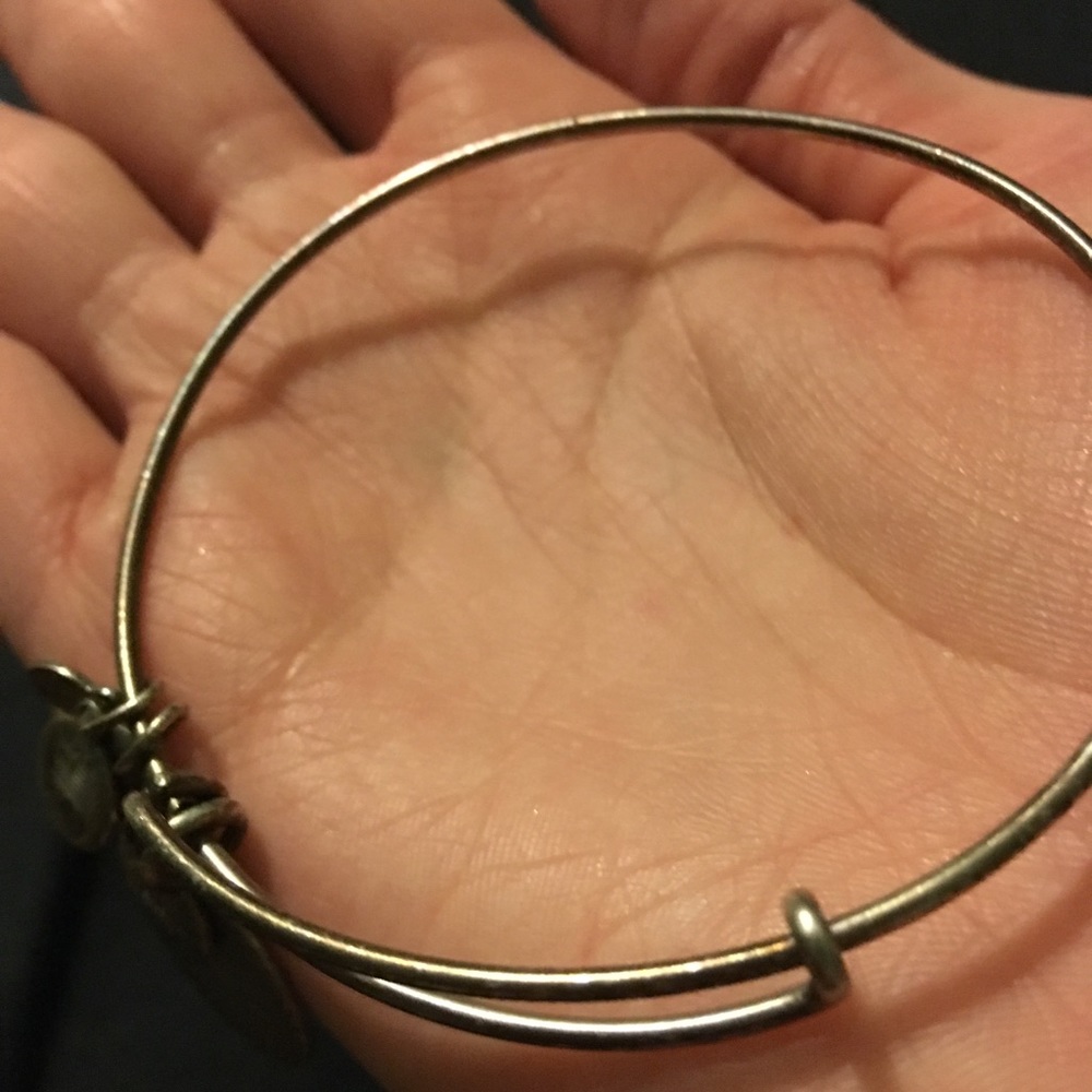 Aquarius Alex and Ani Bangle Bracelet - Picture 4 of 4